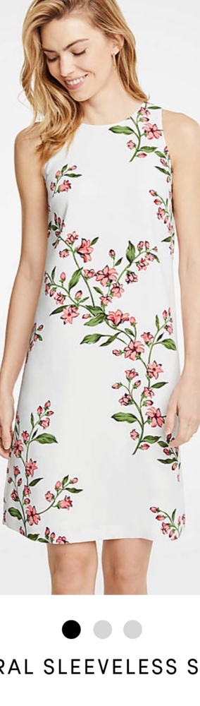 NWT Petite Floral Shift Dress